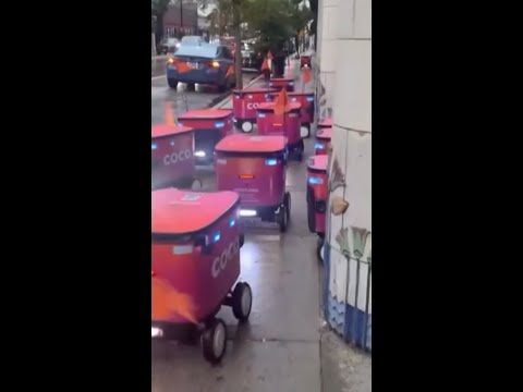 Robots cause sidewalk traffic jam after tech error