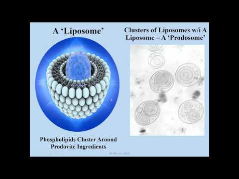 Prodovite Webinar by Bill Downs