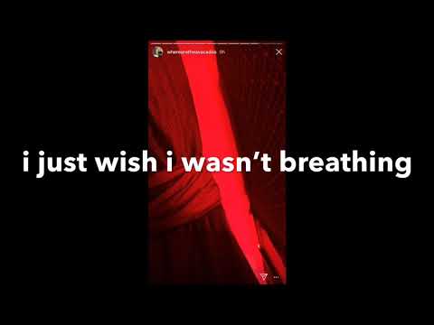 billie eilish- idk, i just wish i wasn’t breathing (unreleased snippet)