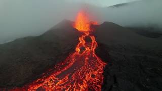 Electronic Emotions Carbon Based Lifeforms Tribute