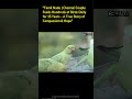 EBNW Story 12 Video thumbnail