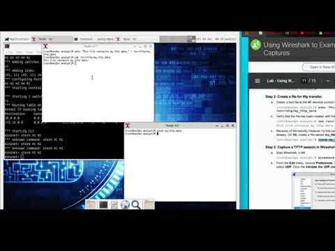 10.4.3 Lab - Using Wireshark to Examine TCP and UDP Captures