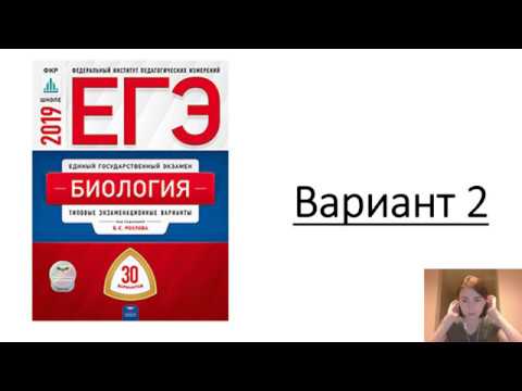 рохлов варианты 2024