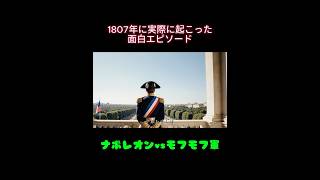 ナポレオンvsモフモフ軍ティルジットの喜劇「ナポレオンのウサギ逆襲事件」