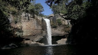 The WILDLIFE of Khao Yai National Park, Thailand