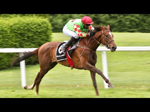 Rennpferde-Trainer Michael Figge: Pietra Della Luna siegt sensationell