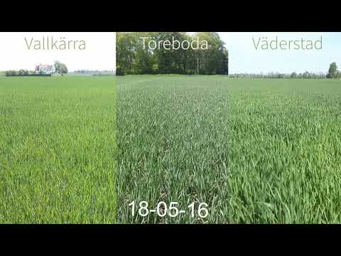 Höstveteresan - säsong 1, 2018 - timelapse 3 delar av Sverige