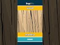 wood - madera video thumbnail