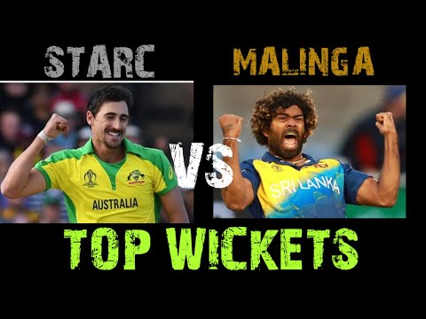 || MITCHELL STARC vs LASITH MALINGA || 5v5 WICKET || WHO's THE BEST || (WHO's THE BEST) (|| MITCHELL STARC vs LASITH MALINGA || 5v5 WICKET || WHO's THE BEST ||)
