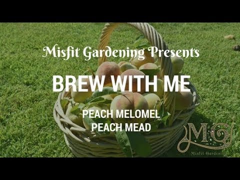 Brew With Me - Peach Mead