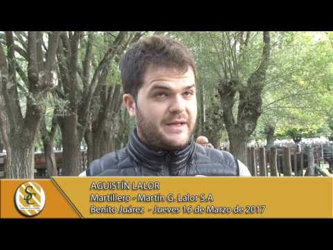 Nota Agustín Lalor - Martín G. Lalor S.A - B. Juárez