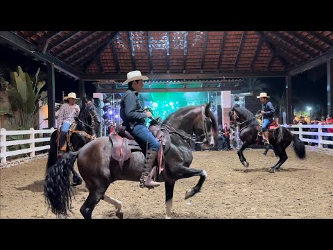 “PRC” Con Los Caballos - Wil Caro y Banda Patria Chica🎺