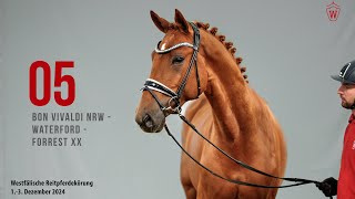 Video von Hengst von Bon Vivaldi NRW / Waterford