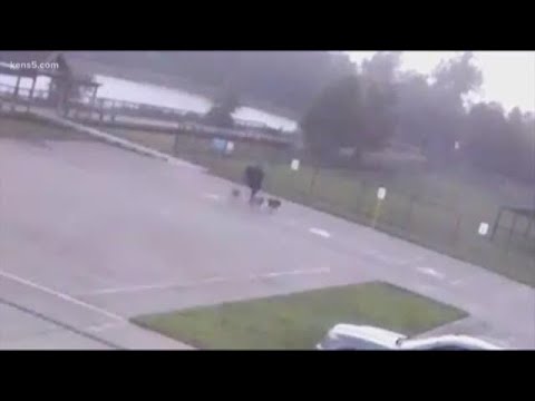 Video captures moment man was struck by lightning while walking dogs