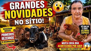 😱 GRANDES NOVIDADES NO SÍTIO! O que está acontecendo por aqui vai te surpreender.