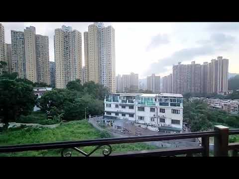 大輋 Youtube Video