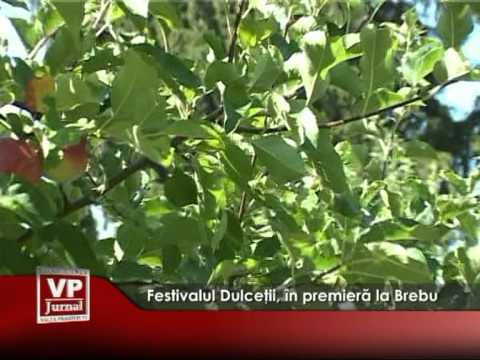 Festivalul Dulceţii, în premieră la Brebu