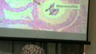 Dr Gihan Datashow (MGS) & Drawing Revision 2 part1