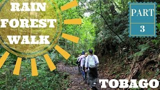 Rain Forest Walk!!! Plus Argyle Waterfalls! (Tobago: Part 3!)