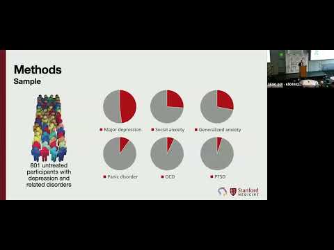 Rising Star: Personalized Brain Circuit Scores Linking Biotypes ...