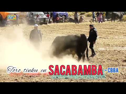 10=TORO TINKU, SACABAMBA, ESTEBAN ARCE - CBBA