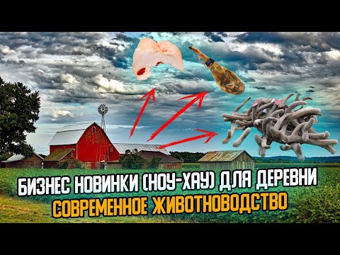 ШОК ИДЕИ!!! Бизнес идеи НОВОГО животноводства в деревне Новинки в бизнесе