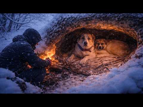 Alone in Deadly Snowstorm with My Dogs | Underground Survival Shelter & Winter Camping (Nature ASMR)