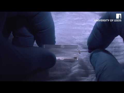 Dentsply Protaper Gold NiTi Rotary Files | Endodontics | pinkblue