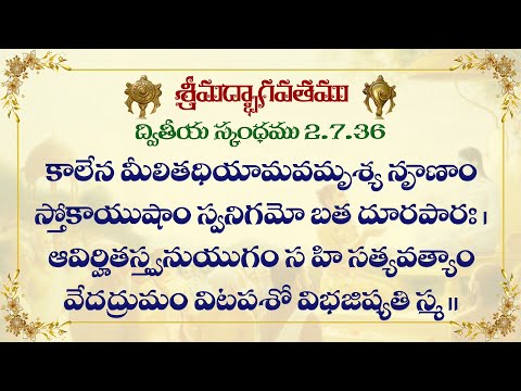 Śrīmad-Bhāgavatam (Bhāgavata Purāṇa) 2.7.36 | by HG Leela Parayana Prabhu | 13 January 2023