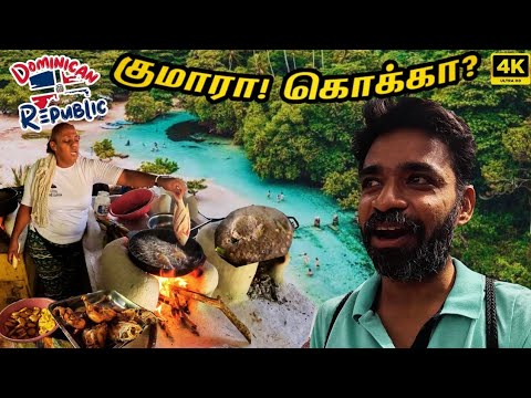 🇩🇴 கரிபியன் பிரியாணியும் மீன் வறுவலும் | DR Ep6