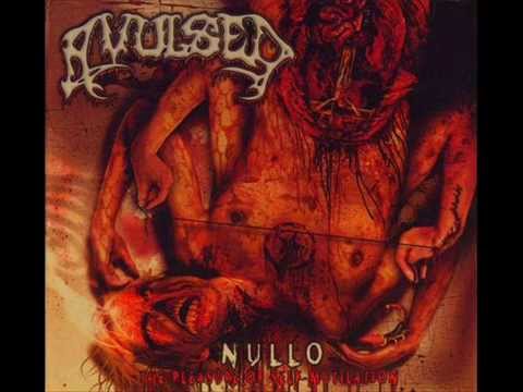 Avulsed - Penectomia