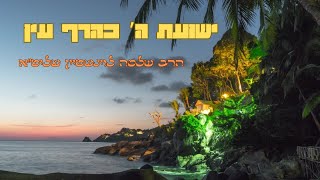 ''ישועת ה' כהרף עין'' - הרב שלמה לוינשטיין שליט''א (הרב שלמה לוינשטיין) - התמונה מוצגת ישירות מתוך אתר האינטרנט יוטיוב. זכויות היוצרים בתמונה שייכות ליוצרה. קישור קרדיט למקור התוכן נמצא בתוך דף הסרטון ''ישועת ה' כהרף עין'' - הרב שלמה לוינשטיין שליט''א (הרב שלמה לוינשטיין) - התמונה מוצגת ישירות מתוך אתר האינטרנט יוטיוב. זכויות היוצרים בתמונה שייכות ליוצרה. קישור קרדיט למקור התוכן נמצא בתוך דף הסרטון