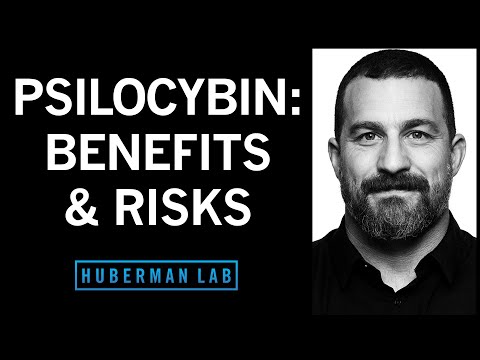 How Psilocybin Can Rewire Our Brain, Its Therapeutic Benefits & Its Risks