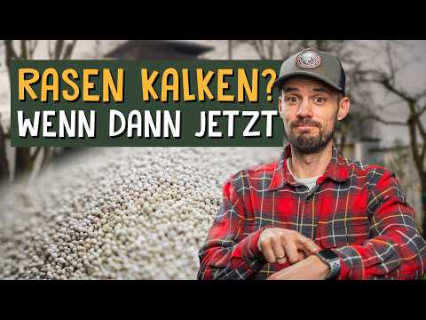 pH-Check: Rasen kalken im Februar – So geht's richtig!