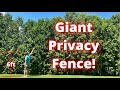 How to create a fast growing privacy fence with green giant arborvitae trees.