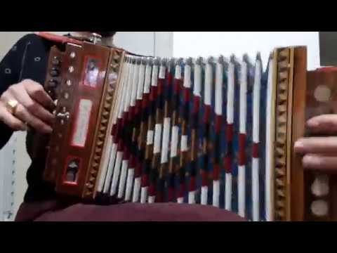 Tarantella Calabrese "RIGGITANA" (solo organetto) - FORTUNATO STILLITTANO - PROGETTO TARANTELLA