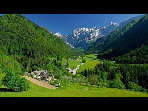 Birinci Mektup, Mektubat, Hayat Mertebeleri, Hayatın Dört Mertebesi