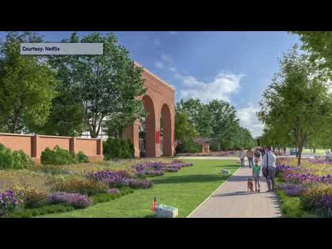 Netflix Studio Green Light