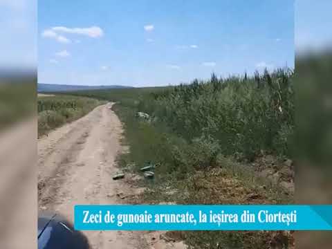 Zeci de gunoaie aruncate la ieșirea din Ciortești