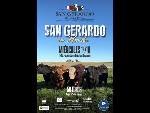 San Gerardo en Florida -Asociacion Rural de Reboledo - Remata: Escritorio Arrospide