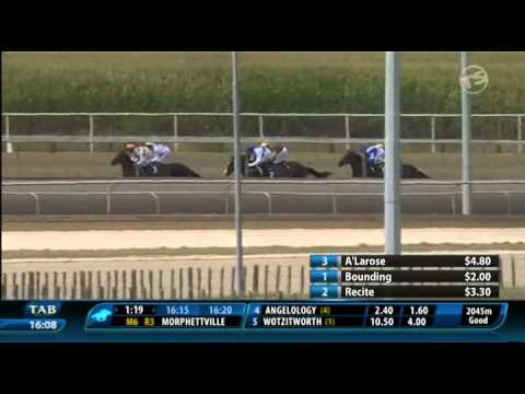 Iffley Road 4th in Matamata Breeder's Stakes, 23rd February 2013