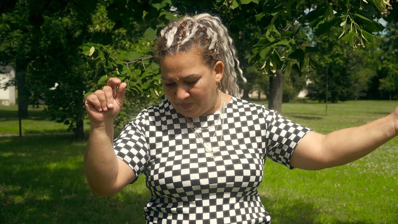 Gipsy JANKA - Šun lásko (cover)