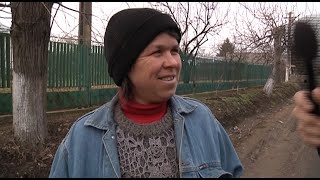 faze tari cate zile sunt intr-un an