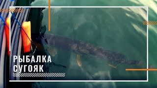 Рыбалка в челябинской области и башкирии