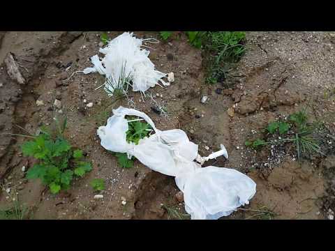 Sonda meteorologiczna RS41 wysłana z Wroclawia 12z 2018 06 28 vaisala radiosonde rs41-sg