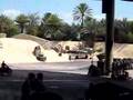 Indiana Jones Walt Disney World 2008
