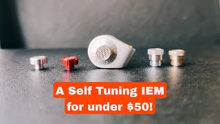 BGVP P05 Review | A Self tuning IEM for under $50