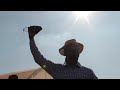 Pinocchio S Farm Tour