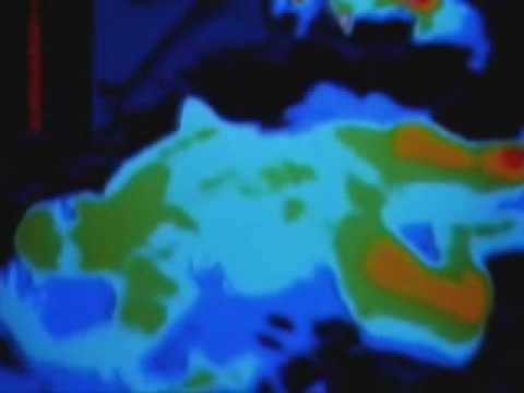 MrGasmask : E.c.h.e.l.o.n