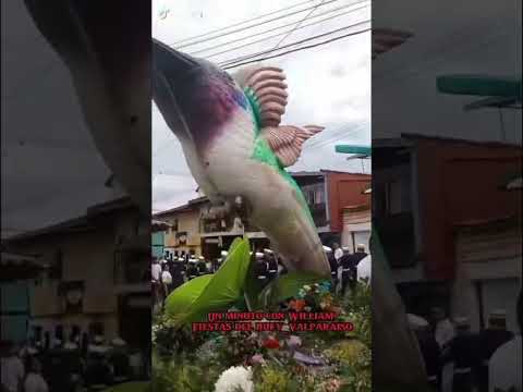 Un minuto con William. Fiestas del buey. Valparaíso Antioquia